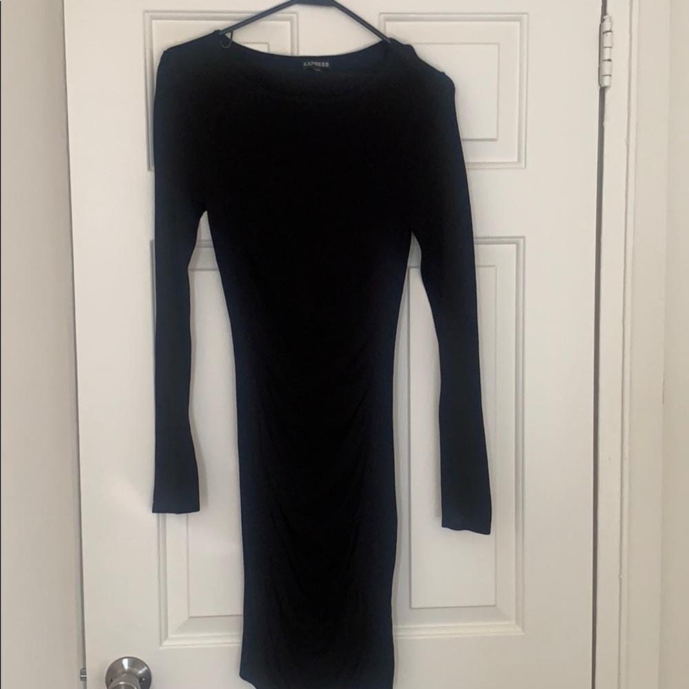 Express fitted sweater dress